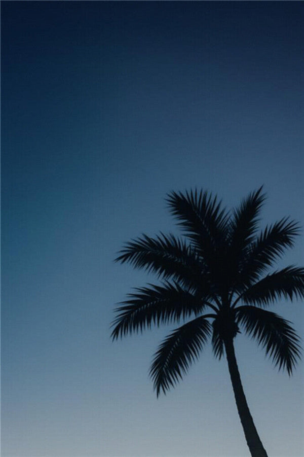 What should I Look for in Comfortable Travel Shoes?